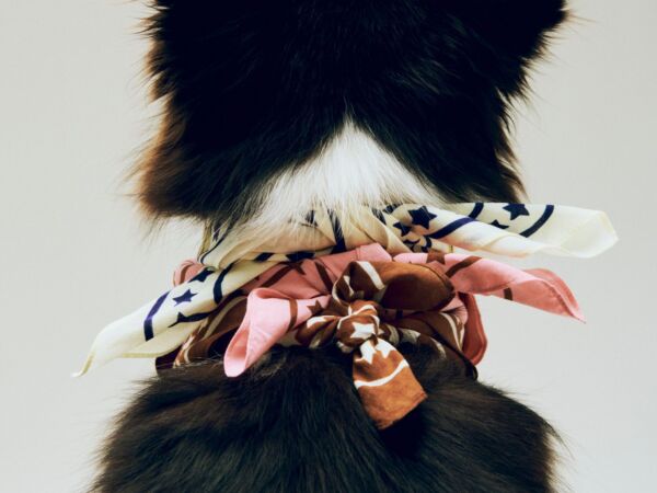 5_HAY Dogs Scarf Recycled 04.jpg