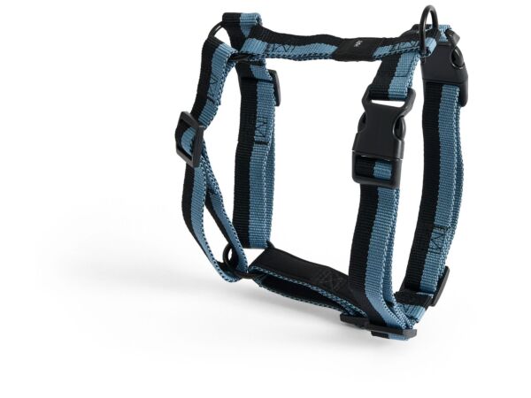 2_AE931-A602-AP74_HAY Dogs Harness M blue_black.jpg