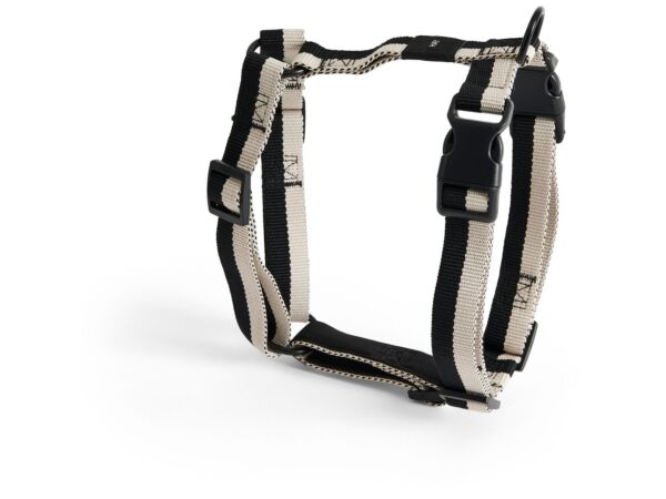 2_AE931-A602-AS14_HAY Dogs Harness M black_white.jpg