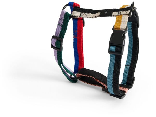 1_AE931-A602-AG29_HAY Dogs Harness M multi colour.jpg
