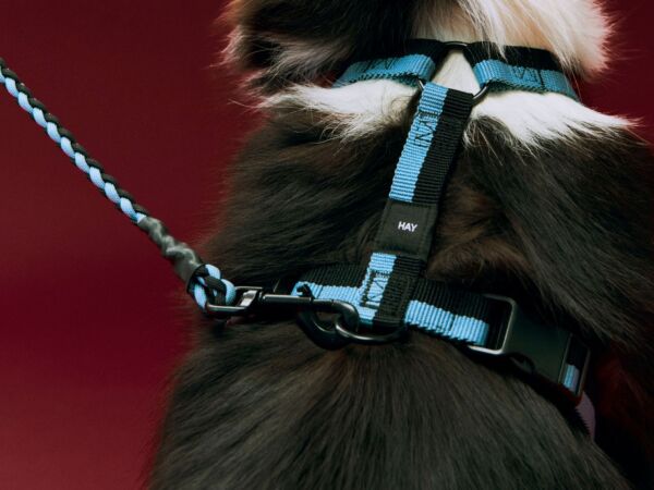 5_HAY Dogs Harness M blue and black_HAY Dogs Leash Adjustable Braided M-L blue and black.jpg