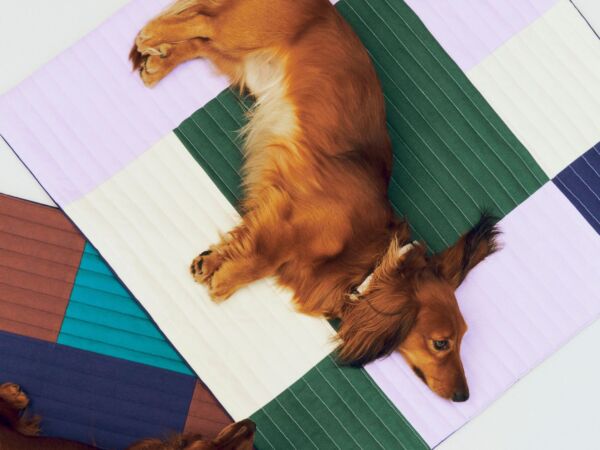 5_HAY Dogs Travel Blanket 80x80 lavender and green and blue quilted_HAY Dogs Travel Blanket 80x80 burgundy and green and blue quilted.jpg