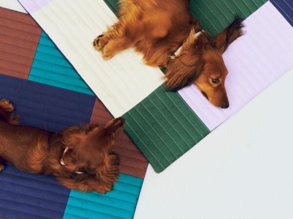 5_HAY Dogs Travel Blanket 80x80 lavender and green and blue quilted_HAY Dogs Travel Blanket 80x80 burgundy and green and blue quilted (1).jpg