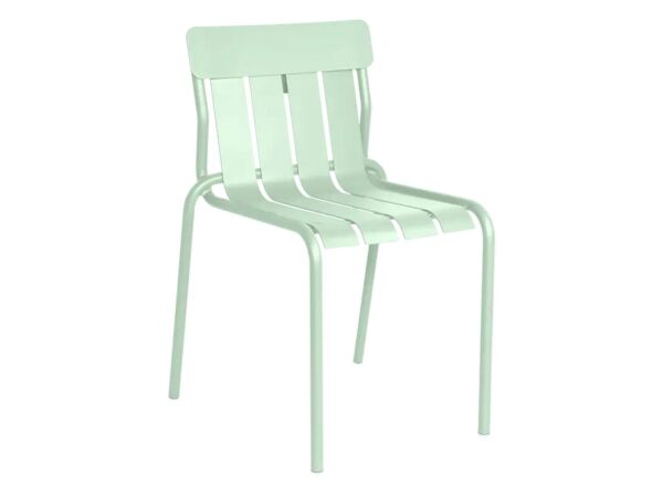 2_MENTHE_GLACIALE.jpg