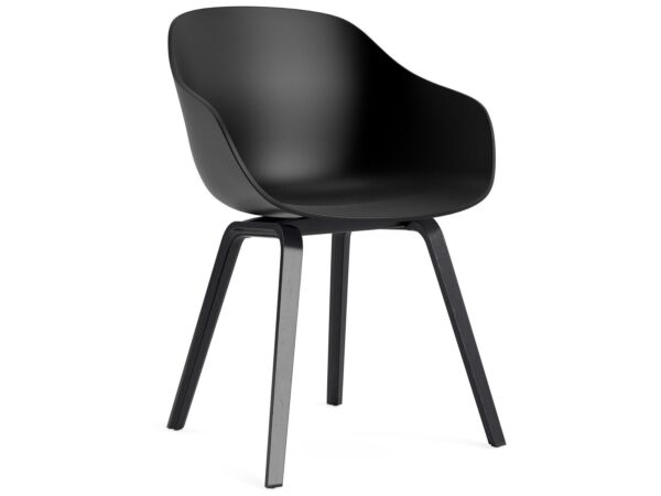 2_AC110-D168-AA51_AAC 222 black 2.0 shell_black wb lacquer oak base.jpg
