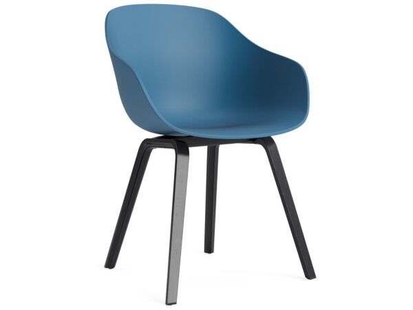 2_AC110-D135-AA51_AAC 222 azure blue 2.0 shell_black wb lacquer oak base.jpg
