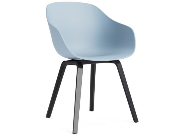2_AC110-D123-AA51_AAC 222 slate blue 2.0 shell_black wb lacquer oak base.jpg