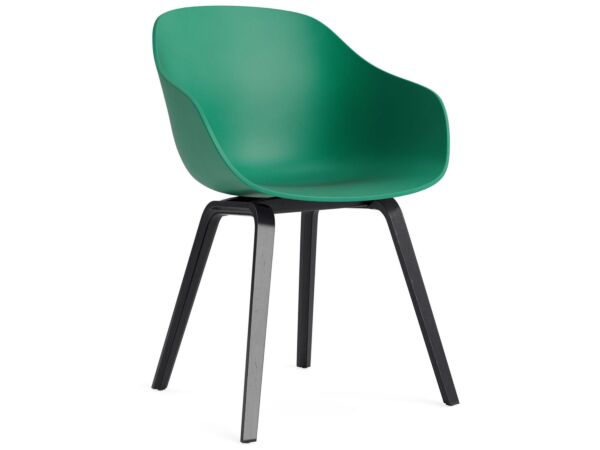 2_AC110-D138-AA51_AAC 222 teal green 2.0 shell_black wb lacquer oak base.jpg