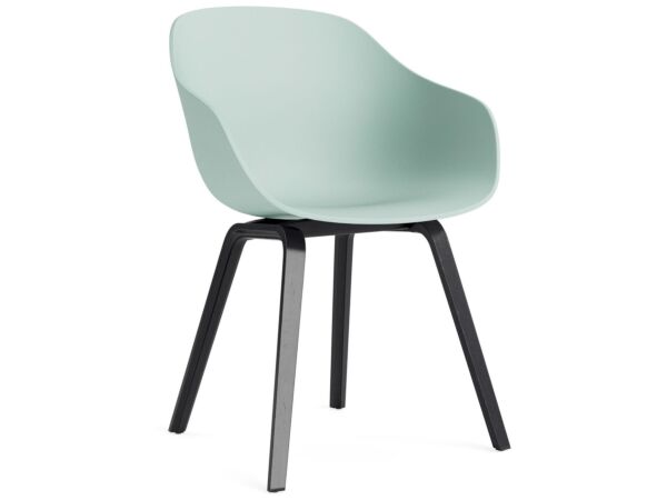 2_AC110-D141-AA51_AAC 222 dusty mint 2.0 shell_black wb lacquer oak base.jpg