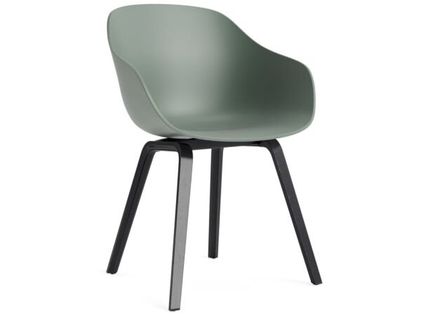 2_AC110-D144-AA51_AAC 222 fall green 2.0 shell_black wb lacquer oak base.jpg