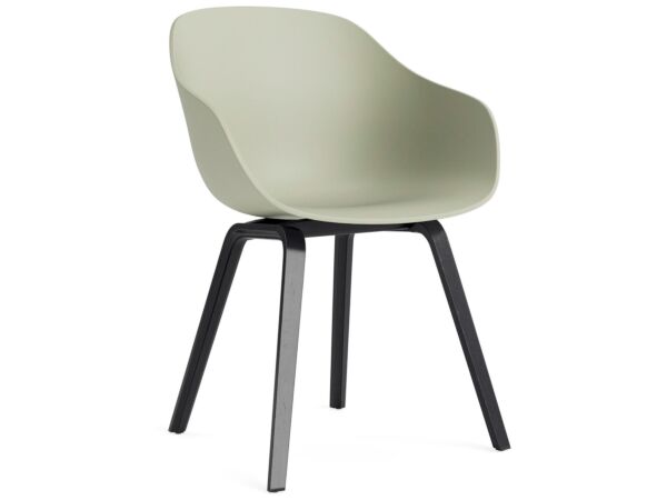 2_AC110-D150-AA51_AAC 222 pastel green 2.0 shell_black wb lacquer oak base.jpg