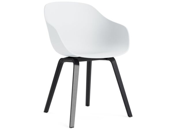 2_AC110-D159-AA51_AAC 222 white 2.0 shell_black wb lacquer oak base.jpg