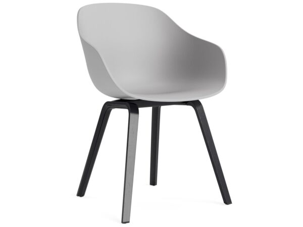 2_AC110-D165-AA51_AAC 222 concrete grey 2.0 shell_black wb lacquer oak base.jpg