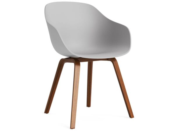 2_AC108-D165-AA51_AAC 222 concrete grey 2.0 shell_wb lacquer walnut base.jpg