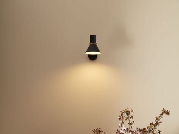 5_type-80-w2-wall-light-black.jpg