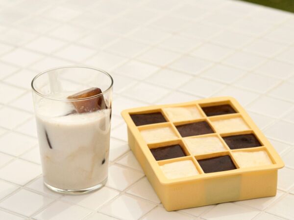 5_Ice Cube Tray01.jpg