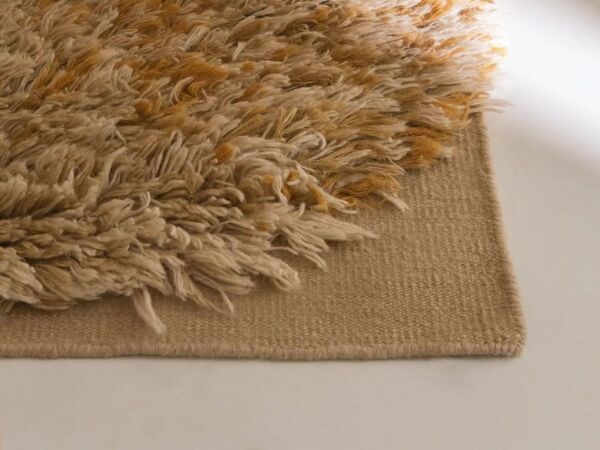 5_alga-ochre_5.jpg