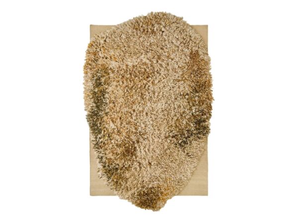 2_Alga_OcreL.jpg