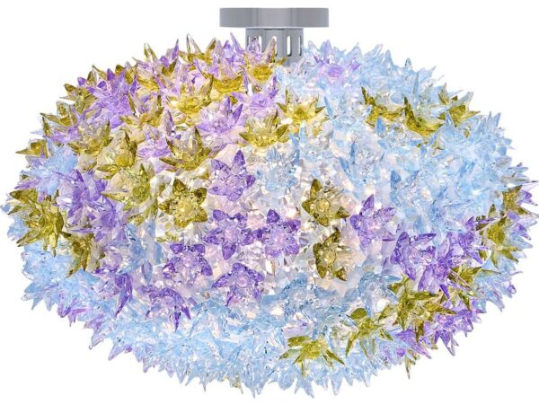 1_Bloom1.jpg
