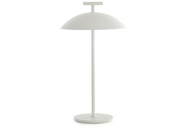 2_product_20472_86574_mini-geen-a-portable.jpg