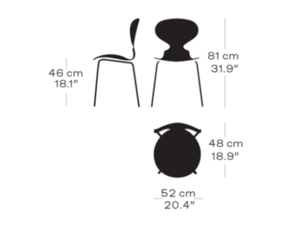 3_ant10.jpg