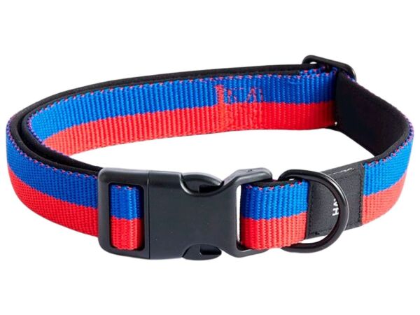 2_hay dogs collar flat m l red blue.jpg