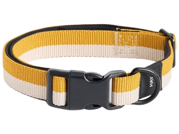 2_hay dogs collar flat m l off white ochre.jpg