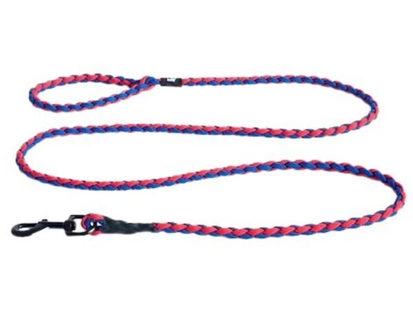 1_hay dogs leash braided red blue.jpg