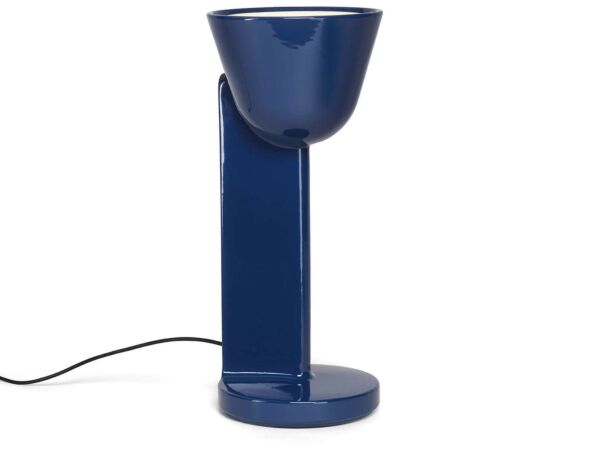 1_cera up bleu.jpg
