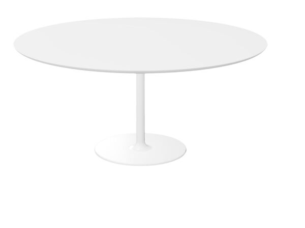 2_Dizzie Table Ronde 0634 1.jpg