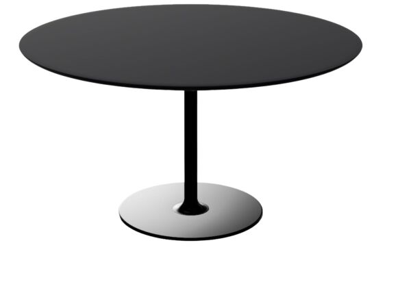 2_Dizzie Table Ronde 0635 2.jpg