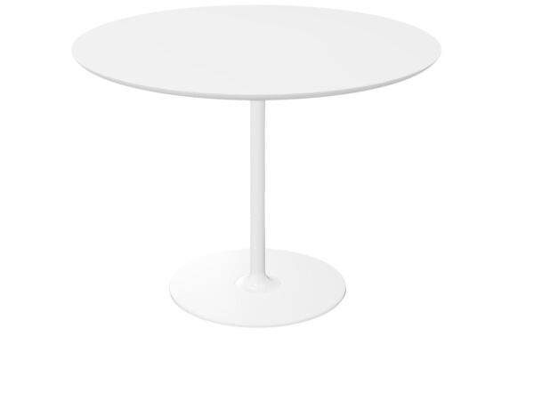 2_Dizzie table 710 1.jpg