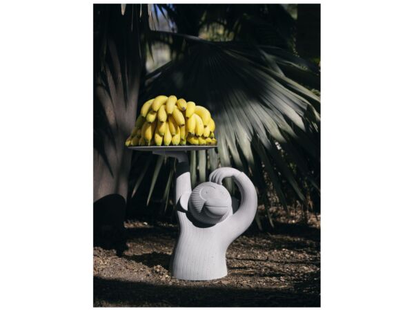 5_Monkey table 2.jpg