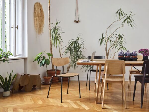 5_Image d'ambiance5.jpg