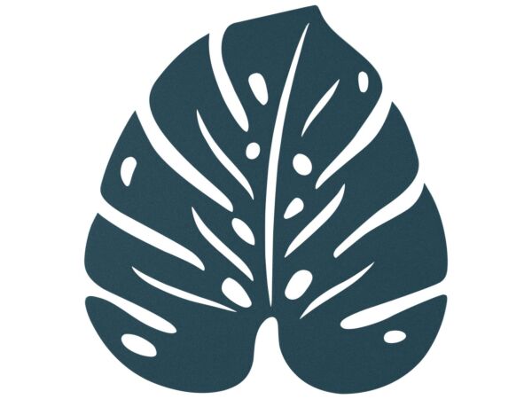 1_BOUQUET_SAUVAGE_DESSOUS_DE_PLAT_MONSTERA_BLEU_ACAPULCO_SKU_301821.jpg
