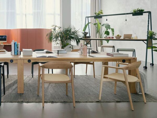 5_sedus secafewoodenchair02.jpg