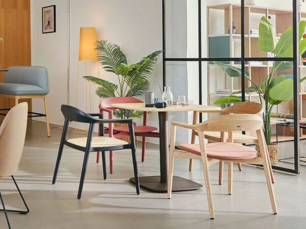 5_sedus secafewoodenchair04.jpg
