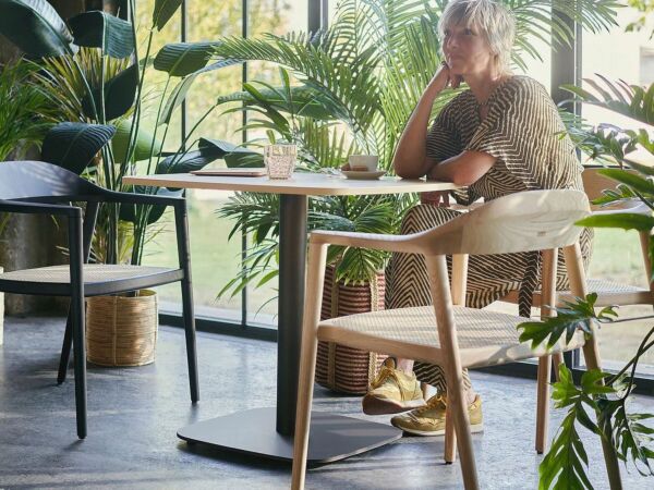 5_sedus secafewoodenchair05.jpg