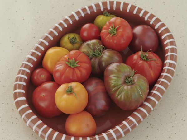 5_Barro Oval Dish04.jpg