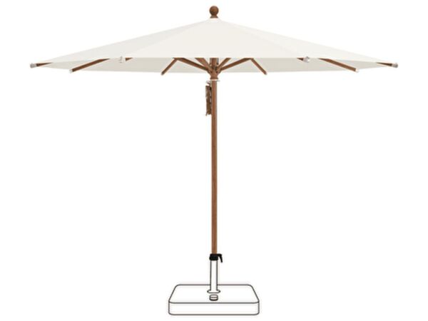 2_250 cat 2 158 off White.jpg