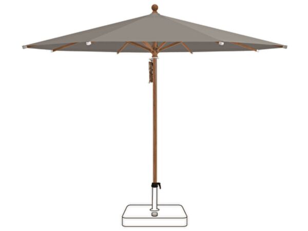 2_461 - Taupe cat 4 300.jpg