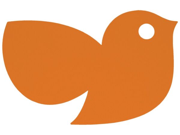 1_ORANGE CONFITE.jpg