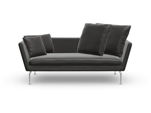 2_Vitra_Suita_2 Seater_coussins_pointus_Cuir L20 Asphalte poli.jpg