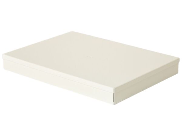 2_BOITE_METAL_TAILLE_L_BLANC_PERLE_FERME_VUE_OBLIQUE_1772099660233042900_0_no_bg.jpg