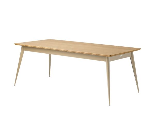 2_TABLE 200 GRIS BEIGE.jpg