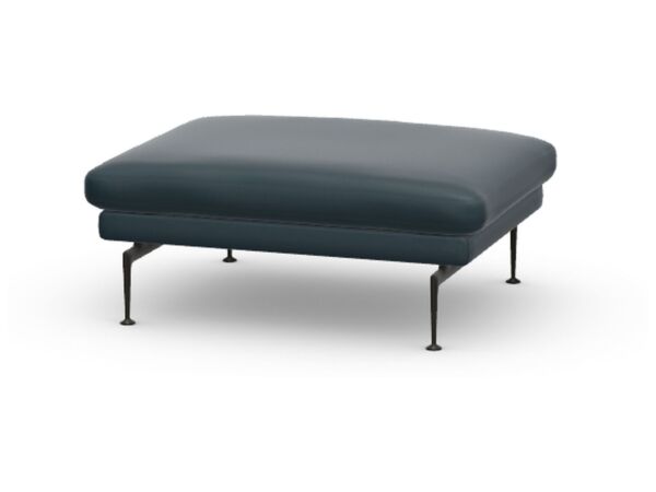 2_cuir premium fl50 bleu fume noir.jpg