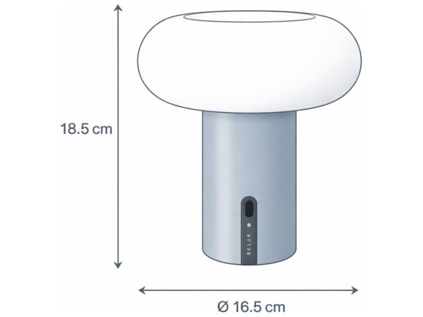 3_Schéma oto portable.jpg
