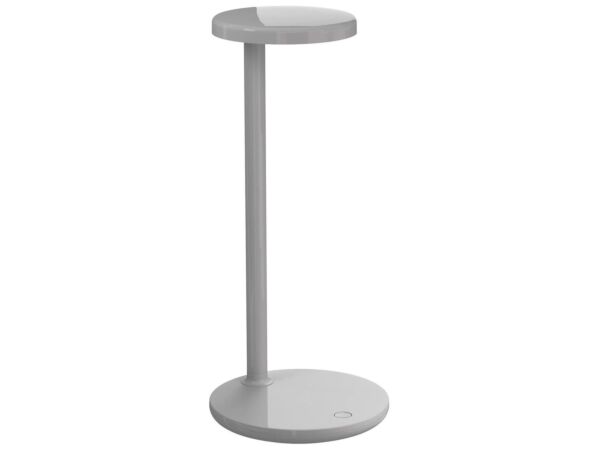 2_Gris brillant03.jpg