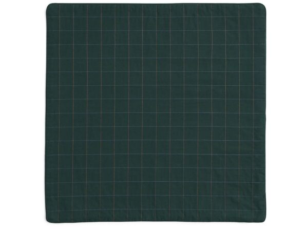 2_AG063-D294-AB80_Dori Cushion Cover green.jpg
