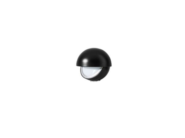 1_Palpebra noir.jpg